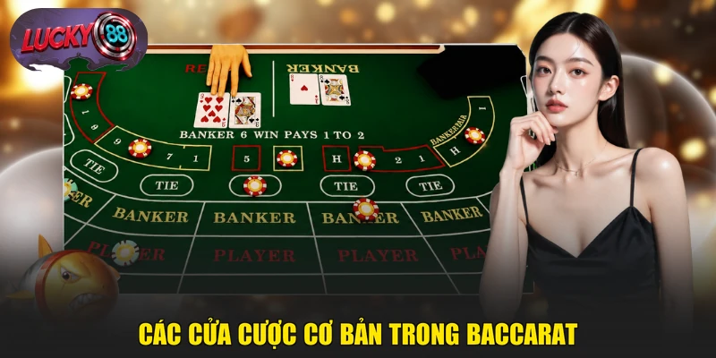 Các cửa cược cơ bản trong Baccarat