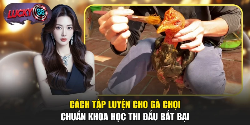 Cách Tập Luyện Cho Gà Chọi Chuẩn Khoa Học Thi Đấu Bất Bại