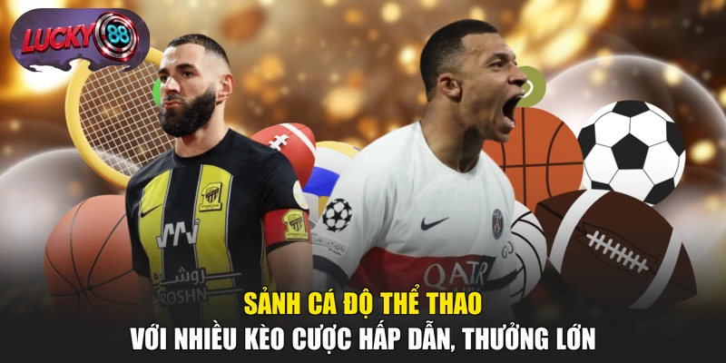 Sảnh cá độ thể thao với nhiều kèo cược hấp dẫn, thưởng lớn