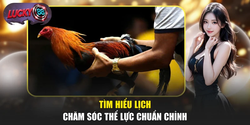Tìm hiểu lịch chăm sóc thể lực chuẩn chỉnh
